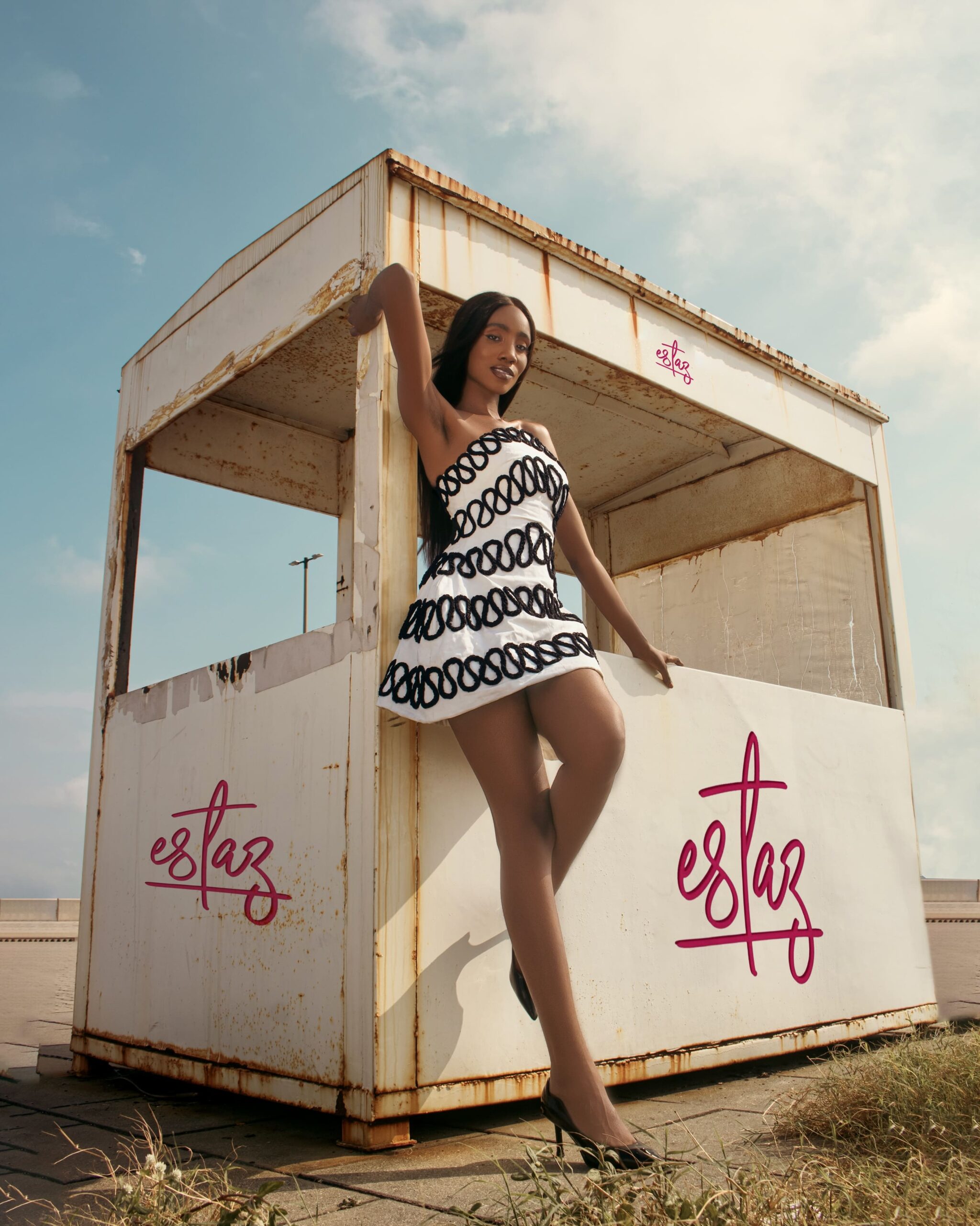 The Urban Echo Dress